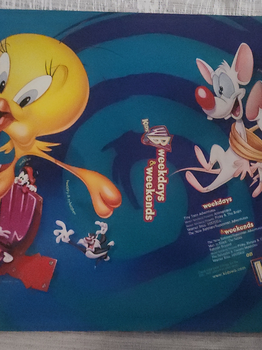 WB promotional poster for the animated series Batman & Loony Toons Pinky & Brain